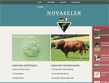 Tablet Screenshot of novaselek.com